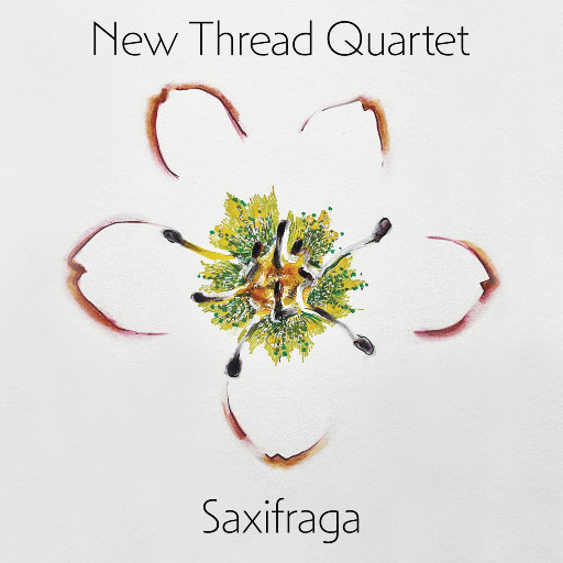 午夜影院三级片
